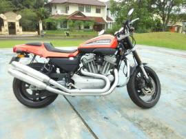 Sportster XR1200 FP Mabua