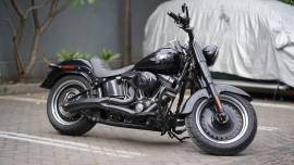 Softail fatboy lo 2009