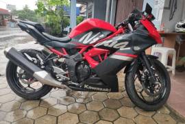 NINJA 250 SL 2019 Red black doof