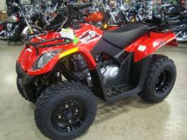 Motor Atv Arctic Cat 150 UTLITY