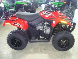 Motor Atv Arctic Cat 300 UTILITY