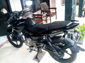 PULSAR 135 LS 2012 BAGUS & TERAWAT, GRESIK