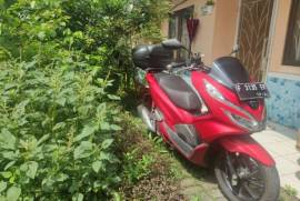 PCX 150 ABS 2019 RED DOFF Bonus Box SHAD